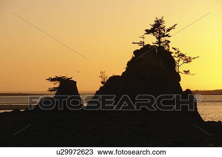 Taft, Lincoln City, OR, Oregon, Pacific Ocean, Pacific Coast Scenic Byway, Rt Route, Highway 101, Siletz Bay, sunset, sea stacks View Large Photo Image Stock Image - Taft, Lincoln City, OR, Oregon, Pacific Ocean, Pacific Coast Scenic Byway, Rt Route, Highway 101, Siletz Bay, sunset, sea stacks. Fotosearch