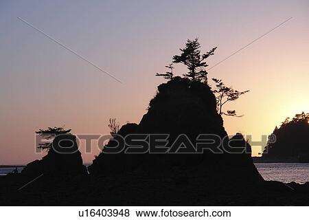Stock Photo -  Taft, Lincoln City, OR, Oregon, Pacific Ocean, Pacific Coast Scenic Byway, Rt Route, Highway 101, Siletz Bay, sunset, sea stacks. Fotosearch