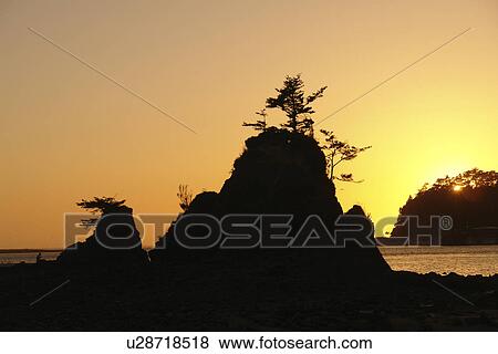 Taft, Lincoln City, OR, Oregon, Pacific Ocean, Pacific Coast Scenic Byway, Rt Route, Highway 101, Siletz Bay, sunset, sea stacks View Large Photo Image Stock Photo - Taft, Lincoln City, OR, Oregon, Pacific Ocean, Pacific Coast Scenic Byway, Rt Route, Highway 101, Siletz Bay, sunset, sea stacks. Fotosearch