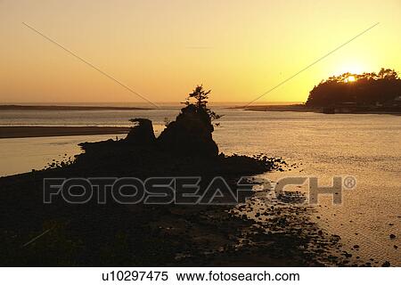 Taft, Lincoln City, OR, Oregon, Pacific Ocean, Pacific Coast Scenic Byway, Rt Route, Highway 101, Siletz Bay, sunset, sea stacks View Large Photo Image Stock Photography - Taft, Lincoln City, OR, Oregon, Pacific Ocean, Pacific Coast Scenic Byway, Rt Route, Highway 101, Siletz Bay, sunset, sea stacks. Fotosearch