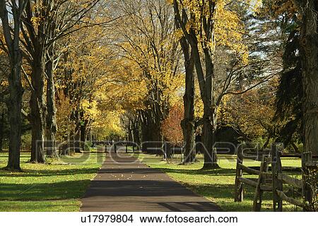 Picture -  Taylorville, PA, Pennsylvania, Washington Crossing Historic Park. Fotosearch