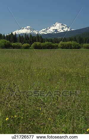 Three Sisters, OR, Oregon, Black Butte Ranch, Cascade Range, Cascade Volcanic Belt View Large Photo Image Stock Photo - Three Sisters, OR, Oregon, Black Butte Ranch, Cascade Range, Cascade Volcanic Belt. Fotosearch