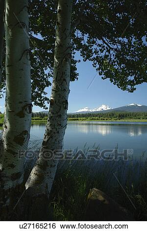 Three Sisters, OR, Oregon, Black Butte Ranch, lake, Cascade Range, Cascade Volcanic Belt View Large Photo Image Stock Photograph -  Three Sisters, OR, Oregon, Black Butte Ranch, lake, Cascade Range, Cascade Volcanic Belt. Fotosearch
