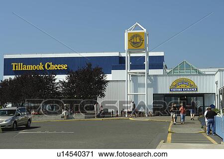 Tillamook, OR, Oregon, Pacific Ocean, Pacific Coast Scenic Byway, Rt Route, Highway 101, Tillamook Cheese, Tillamook County Creamery Association View Large Photo Image Stock Image - Tillamook, OR, Oregon, Pacific Ocean, Pacific Coast Scenic Byway, Rt Route, Highway 101, Tillamook Cheese, Tillamook County Creamery Association. Fotosearch