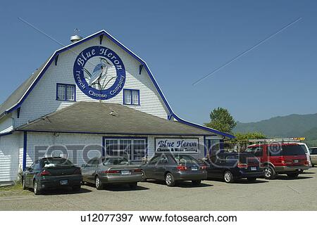Tillamook, OR, Oregon, Pacific Ocean, Pacific Coast Scenic Byway, Rt Route, Highway 101, Blue Heron French Cheese Company, cheese and wine tasting View Large Photo Image Stock Photo - Tillamook, OR, Oregon, Pacific Ocean, Pacific Coast Scenic Byway, Rt Route, Highway 101, Blue Heron French Cheese Company, cheese and wine tasting. Fotosearch