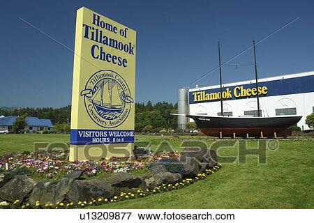Tillamook, OR, Oregon, Pacific Ocean, Pacific Coast Scenic Byway, Rt Route, Highway 101, Tillamook Cheese, Tillamook County Creamery Association View Large Photo Image Stock Photo - Tillamook, OR, Oregon, Pacific Ocean, Pacific Coast Scenic Byway, Rt Route, Highway 101, Tillamook Cheese, Tillamook County Creamery Association. Fotosearch