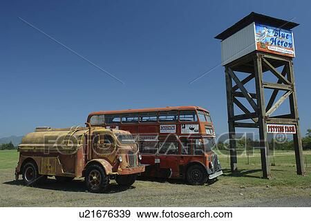 Stock Photo -  Tillamook, OR, Oregon, Pacific Ocean, Pacific Coast Scenic Byway, Rt Route, Highway 101, Blue Heron French Cheese Company, cheese and wine tasting, antique vehicles displayed. Fotosearch