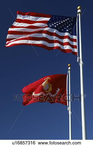 Triangle, VA, Virginia, Quantico, Washington DC, National Museum of the Marine Corps, US and Marine Corps Flags View Large Photo Image Stock Photograph - Triangle, VA, Virginia, Quantico, Washington DC, National Museum of the Marine Corps, US and Marine Corps Flags. Fotosearch