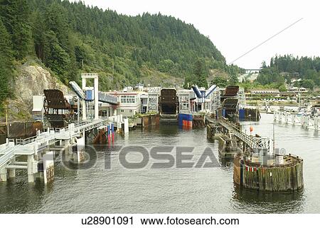 Vancouver, British Columbia, Canada, Strait of Georgia, BC Ferries, Horseshoe Bay, ferry terminal View Large Photo Image Stock Image - Vancouver, British Columbia, Canada, Strait of Georgia, BC Ferries, Horseshoe Bay, ferry terminal. Fotosearch