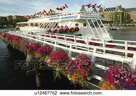 Stock Image -  Victoria, British Columbia, Canada, Vancouver Island, Inner Harbour, Undersea Gardens. Fotosearch