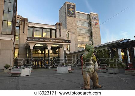 Victoria, British Columbia, Canada, Vancouver Island, Royal British Columbia Museum, National Geographic Theatre, Spirit Bears in the City, Francis bear statue, evening View Large Photo Image Stock Image - Victoria, British Columbia, Canada, Vancouver Island, Royal British Columbia Museum, National Geographic Theatre, Spirit Bears in the City, Francis bear statue, evening. Fotosearch