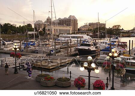 Victoria, British Columbia, Canada, Vancouver Island, Inner Harbour, waterfront, marina, sunset View Large Photo Image Stock Image - Victoria, British Columbia, Canada, Vancouver Island, Inner Harbour, waterfront, marina, sunset. Fotosearch