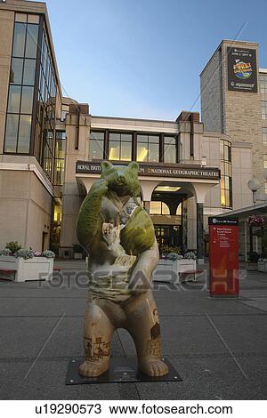 Victoria, British Columbia, Canada, Vancouver Island, Royal British Columbia Museum, National Geographic Theatre, Spirit Bears in the City, Francis bear statue, evening View Large Photo Image Stock Image - Victoria, British Columbia, Canada, Vancouver Island, Royal British Columbia Museum, National Geographic Theatre, Spirit Bears in the City, Francis bear statue, evening. Fotosearch