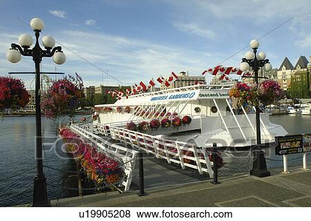 Victoria, British Columbia, Canada, Vancouver Island, Inner Harbour, Undersea Gardens View Large Photo Image Stock Photo - Victoria, British Columbia, Canada, Vancouver Island, Inner Harbour, Undersea Gardens. Fotosearch