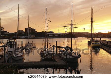 Victoria, British Columbia, Canada, Vancouver Island, Inner Harbour, waterfront, marina, sunset View Large Photo Image Stock Photo - Victoria, British Columbia, Canada, Vancouver Island, Inner Harbour, waterfront, marina, sunset. Fotosearch