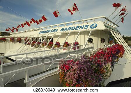 Stock Photo -  Victoria, British Columbia, Canada, Vancouver Island, Inner Harbour, Undersea Gardens. Fotosearch