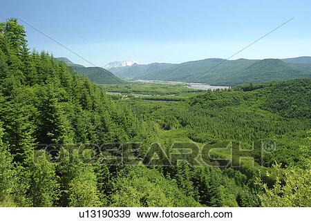 WA, Washington, Mount St. Helens National Volcanic Monument, Toutle River and Valley View Large Photo Image Stock Photo - WA, Washington, Mount St. Helens National Volcanic Monument, Toutle River and Valley. Fotosearch