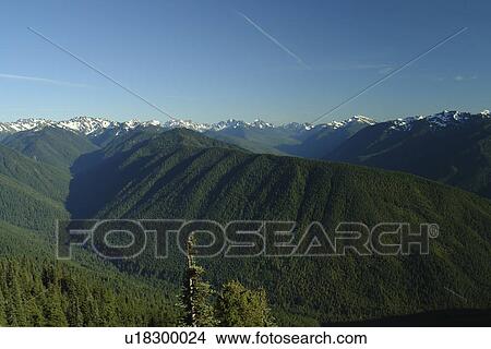 Picture -  WA, Washington, Olympic Peninsula, Olympic National Park, Hurricane Ridge Road. Fotosearch