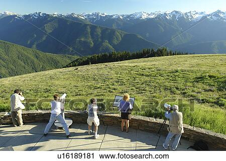 WA, Washington, Olympic Peninsula, Olympic National Park, Hurricane Ridge, overlook, photographers View Large Photo Image Stock Image - WA, Washington, Olympic Peninsula, Olympic National Park, Hurricane Ridge, overlook, photographers. Fotosearch