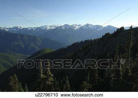 Stock Image -  WA, Washington, Olympic Peninsula, Olympic National Park, Hurricane Ridge Road. Fotosearch