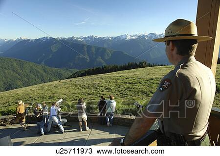 Stock Image -  WA, Washington, Olympic Peninsula, Olympic National Park, Hurricane Ridge, overlook, photographers, Park Ranger watching. Fotosearch