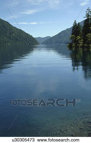 WA, Washington, Olympic Peninsula, Olympic National Park, Fairholm View Large Photo Image Stock Image - WA, Washington, Olympic Peninsula, Olympic National Park, Fairholm. Fotosearch