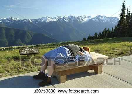 WA, Washington, Olympic Peninsula, Olympic National Park, Hurricane Ridge, taking a break View Large Photo Image Stock Image - WA, Washington, Olympic Peninsula, Olympic National Park, Hurricane Ridge, taking a break. Fotosearch