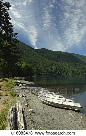 WA, Washington, Olympic Peninsula, Olympic National Park, Lake Crescent Lodge, Lake Crescent View Large Photo Image Stock Photo - WA, Washington, Olympic Peninsula, Olympic National Park, Lake Crescent Lodge, Lake Crescent. Fotosearch