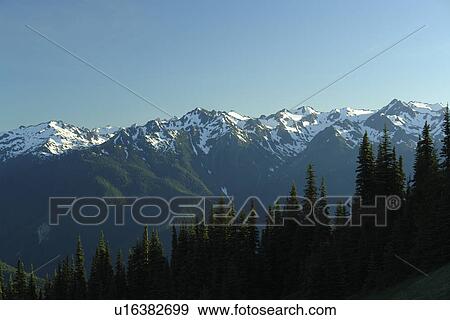 WA, Washington, Olympic Peninsula, Olympic National Park, Hurricane Ridge View Large Photo Image Stock Photo - WA, Washington, Olympic Peninsula, Olympic National Park, Hurricane Ridge. Fotosearch