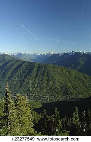 WA, Washington, Olympic Peninsula, Olympic National Park, Hurricane Ridge Road View Large Photo Image Stock Photo - WA, Washington, Olympic Peninsula, Olympic National Park, Hurricane Ridge Road. Fotosearch