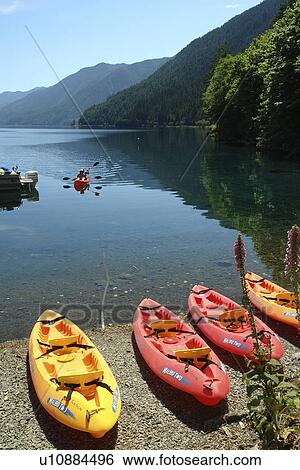 WA, Washington, Olympic Peninsula, Olympic National Park, Fairholm View Large Photo Image Stock Photograph - WA, Washington, Olympic Peninsula, Olympic National Park, Fairholm. Fotosearch