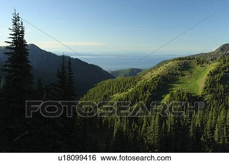 WA, Washington, Olympic Peninsula, Olympic National Park, Hurricane Ridge View Large Photo Image Stock Photograph - WA, Washington, Olympic Peninsula, Olympic National Park, Hurricane Ridge. Fotosearch