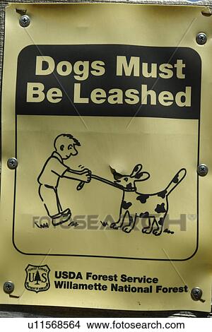 Willamette National Forest, OR, Oregon, posted sign, Dogs Must Be Leashed View Large Photo Image Picture - Willamette National Forest, OR, Oregon, posted sign, Dogs Must Be Leashed. Fotosearch