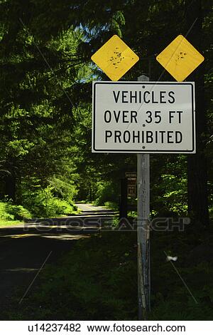 Willamette National Forest, OR, Oregon, McKenzie-Santiam Pass Scenic Byway, McKenzie Highway, road sign, warning, no overlength vehicles, prohibited View Large Photo Image Stock Image - Willamette National Forest, OR, Oregon, McKenzie-Santiam Pass Scenic Byway, McKenzie Highway, road sign, warning, no overlength vehicles, prohibited. Fotosearch