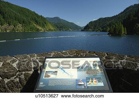 Willamette National Forest, OR, Oregon, Cascade Range, West Cascades Scenic Byway, Cougar Dam, overlook, reservoir, lake View Large Photo Image Stock Photo - Willamette National Forest, OR, Oregon, Cascade Range, West Cascades Scenic Byway, Cougar Dam, overlook, reservoir, lake. Fotosearch