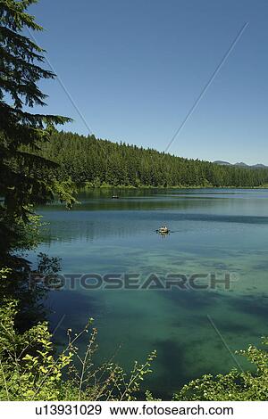 Willamette National Forest, OR, Oregon, Cascade Range, West Cascades Scenic Byway, Clear Lake View Large Photo Image Stock Photo - Willamette National Forest, OR, Oregon, Cascade Range, West Cascades Scenic Byway, Clear Lake. Fotosearch
