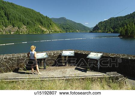Willamette National Forest, OR, Oregon, Cascade Range, West Cascades Scenic Byway, Cougar Dam, overlook, reservoir, lake View Large Photo Image Stock Photo - Willamette National Forest, OR, Oregon, Cascade Range, West Cascades Scenic Byway, Cougar Dam, overlook, reservoir, lake. Fotosearch
