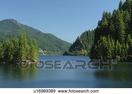 Stock Photo -  Willamette National Forest, OR, Oregon, Cascade Range, West Cascades Scenic Byway, Cougar Dam, reservoir, lake. Fotosearch