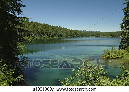 Stock Photo -  Willamette National Forest, OR, Oregon, Cascade Range, West Cascades Scenic Byway, Clear Lake. Fotosearch