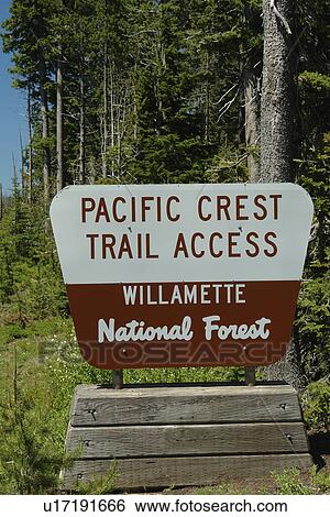 Willamette National Forest, OR, Oregon, Cascade Range, Pacific Crest Trail Access, road sign View Large Photo Image Stock Photograph - Willamette National Forest, OR, Oregon, Cascade Range, Pacific Crest Trail Access, road sign. Fotosearch