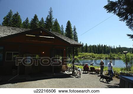 Willamette National Forest, OR, Oregon, Cascade Range, West Cascades Scenic Byway, Fish Lake View Large Photo Image Stock Photograph - Willamette National Forest, OR, Oregon, Cascade Range, West Cascades Scenic Byway, Fish Lake. Fotosearch