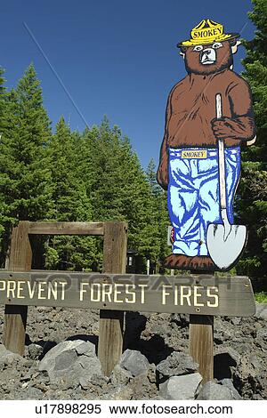 Willamette National Forest, OR, Oregon, Cascade Range, West Cascades Scenic Byway, Smokey the Bear sign, Prevent Forest Fires View Large Photo Image Stock Photography - Willamette National Forest, OR, Oregon, Cascade Range, West Cascades Scenic Byway, Smokey the Bear sign, Prevent Forest Fires. Fotosearch