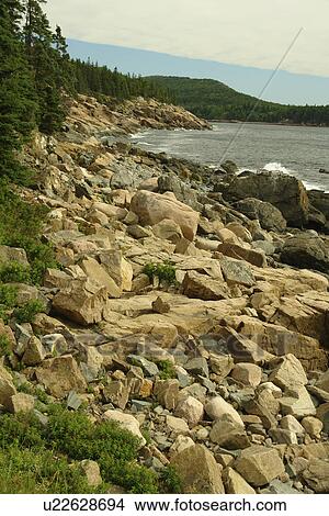 Picture -  Acadia National Park, ME, Maine, Mount Desert Island, Loop Road, rocky coastline. Fotosearch
