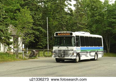 Stock Image -  Acadia National Park, ME, Maine, Mount Desert Island, Loop Road, shuttle bus. Fotosearch