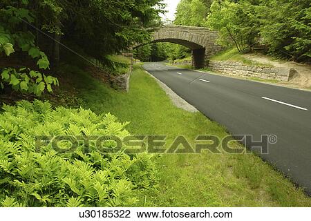Acadia National Park, ME, Maine, Mount Desert Island, Loop Road, Stone Bridge View Large Photo Image Stock Image - Acadia National Park, ME, Maine, Mount Desert Island, Loop Road, Stone Bridge. Fotosearch