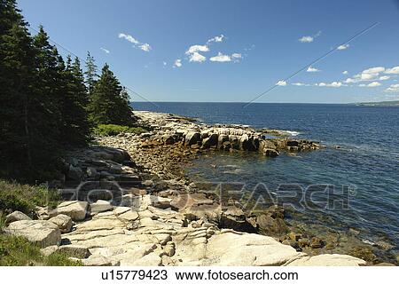 Acadia National Park, ME, Maine, Schoodic Peninsula View Large Photo Image Stock Image - Acadia National Park, ME, Maine, Schoodic Peninsula. Fotosearch
