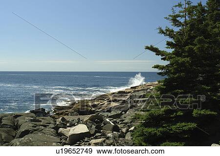 Acadia National Park, ME, Maine, Schoodic Peninsula View Large Photo Image Stock Photo - Acadia National Park, ME, Maine, Schoodic Peninsula. Fotosearch