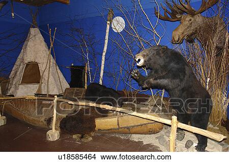 Picture -  Alexandria, MN, Minnesota, Runestone Museum. Fotosearch