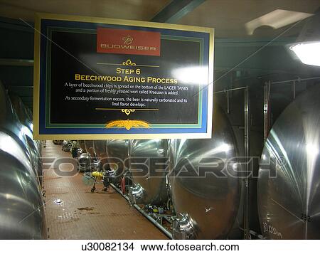 Picture -  Anhauser Busch Brewery, factory tour, interior, St. Augustine, Florida, FL, FLA. Fotosearch