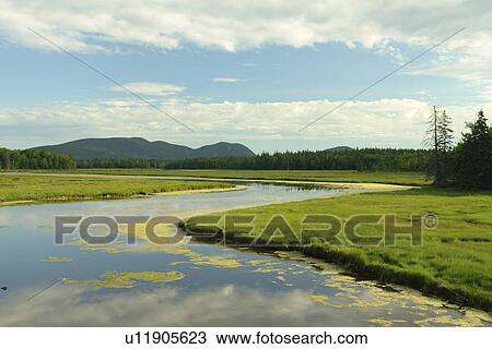 Bass Harbor, ME, Maine, Mt Desert Island, Acadia National Park, marsh View Large Photo Image Stock Image - Bass Harbor, ME, Maine, Mt Desert Island, Acadia National Park, marsh. Fotosearch